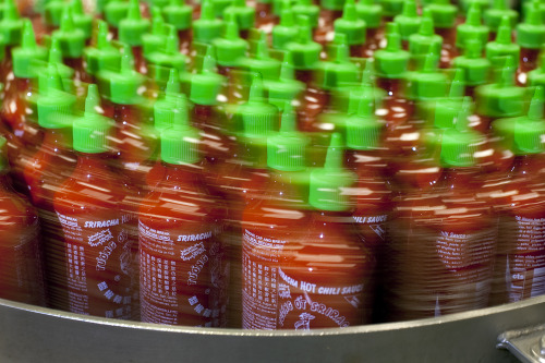 smithsonianmag:The story behind SrirachaWith a distinctive bottle and taste, Sriracha has gone from 