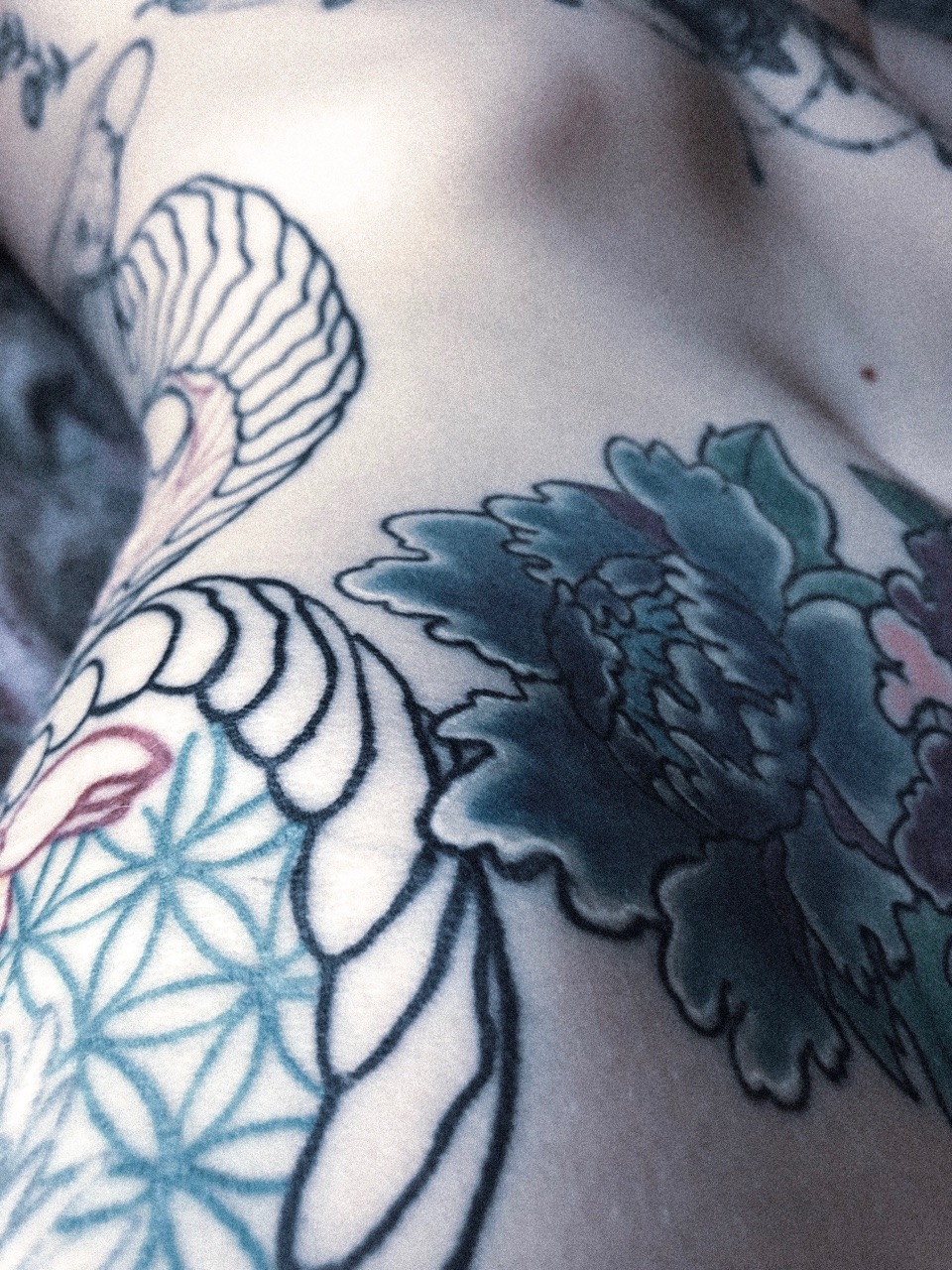 ballad0fthesalad:   floral.  etsy | instagram  
