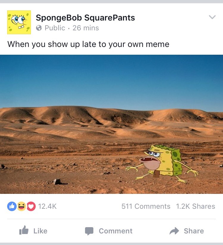 stealth-boy:  holy shit this is the official spongebob facebook page 