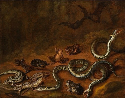 starxgoddess:Carstian Luyckx ~ A forest floor still life with frogs and snakes