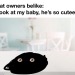 catchymemes: