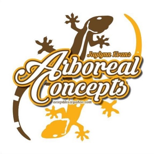 Logo I had done for arboreal gecko breeder Jaylynn Evans. #geckos #geckobreeder #whitelinegecko #gol