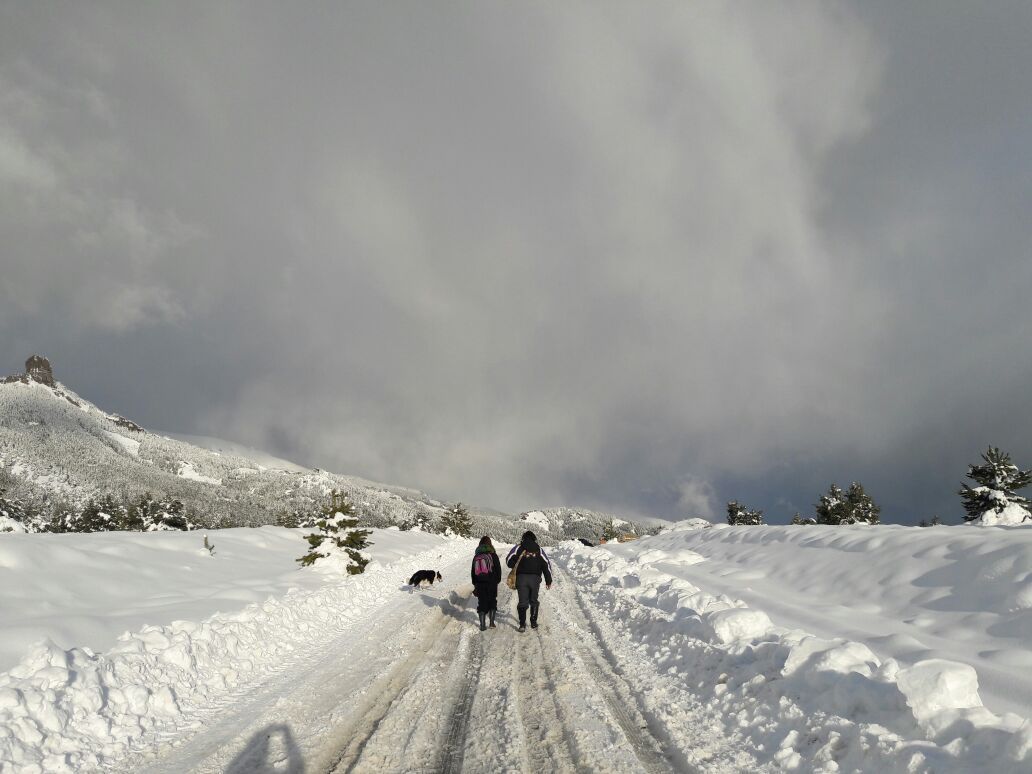 NEVADAS. Imágenes de Villa Meliquina en la provincia de Neuquén, donde se registraron fuertes nevadas en las últimas 48 horas alcanzando los 70 centímetros.Muchos parajes y pueblos quedaron aislados, con suministro eléctrico restringido, rutas...