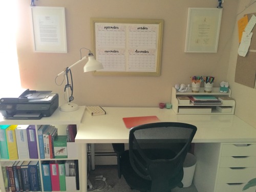 vet-in-progress:With a week off I finally got my study space finished. I am almost ready to start se