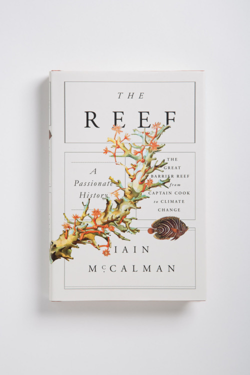 The Reef cover design by Oliver Munday