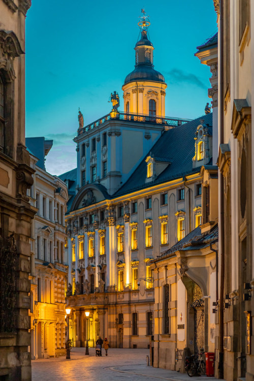 University of Wroclaw, Poland (by Michal Janeczko)