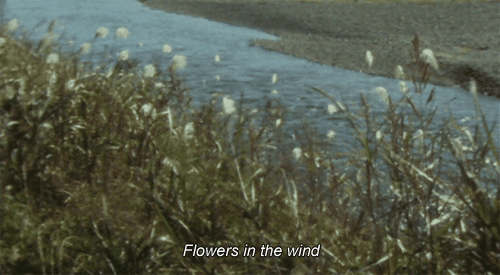Forgotten Feelings