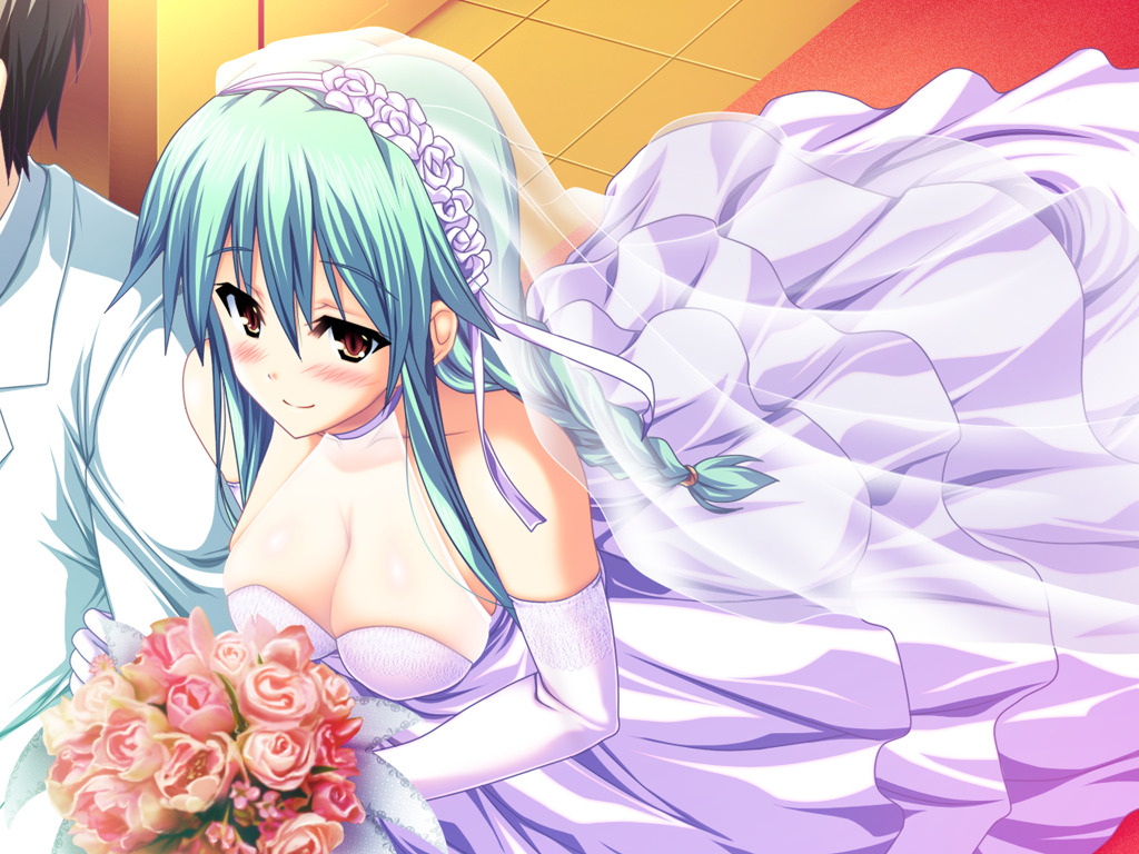 Ecchi Paradise