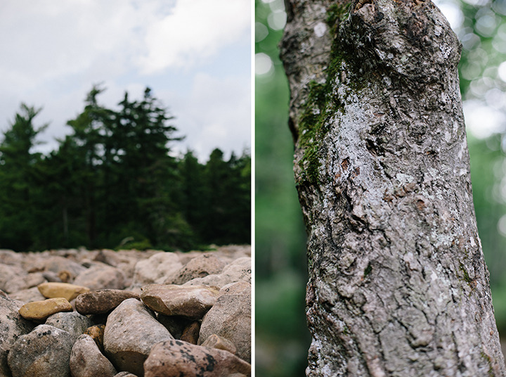caitiborruso:  Pocono Pines, PA || July 2013 