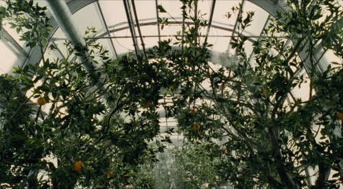 saffronsugar:sappho-s:Snowpiercer, dir. Park Chan-Wook.the director is joon-ho bong!