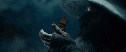 Land of Gods & Monsters