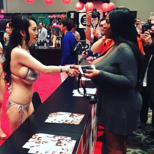 honourcall:  jamesab-smut:  lovelygirlsandgeekystuff:  extremebodiez:   Maserati And Hitomi Meet Each Other For the First Time   #MeetingOfTheMilkCannons  the first gif is like “calm your tits”  @dieselbrain  always reblog tit queen   < |D’‘‘‘‘‘