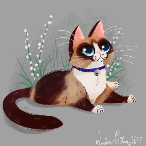 jessiedrawz:Another Cat Portrait of this lovely Snow Shoes.
