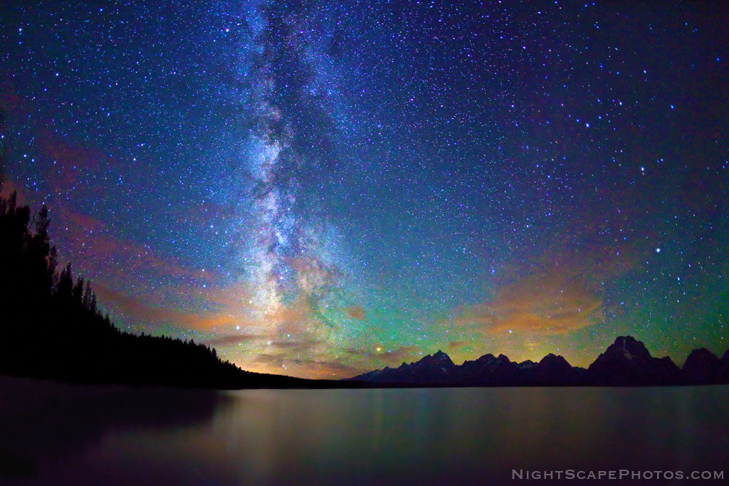 A Nature Blog