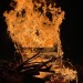 Was a nice night for a fire last night and got to burn the bush from in front of