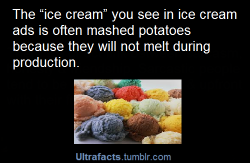 cameoamalthea:  ultrafacts:  More Facts HERE  My life is a lie!