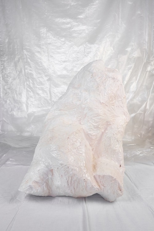 noceans:Jen Mathews, I find relief, 2015, wire, plaster, plastic, glue, PVC pipe, gesso, liquid foun