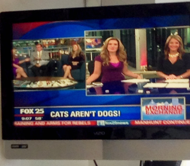 buzzfeed:  The most important news stories of our time.