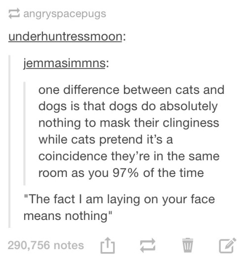 advice-animal:  dogs vs catsadvice-animal.tumblr.com
