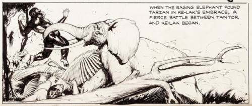 “Tantor helps.”Original Ruben Moreira (Rubimor) art for the 3-17-46 Tarzan Sunday strip (#784: Unite