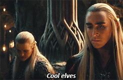 aoife1108:  If Mean Girls was set in Middle Earth 