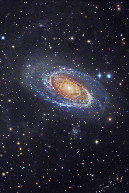 sleepypsychedelia:  Bodes Galaxy