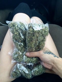 paradisiak: All you need is a bag of weed