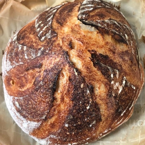 Fresh out of the oven. My beginners sourdough bread is still one of our favorites. www.homem