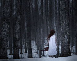 The Prelude by Patty Maher 