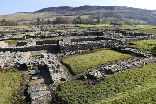 thesilicontribesman: Vindolanda Roman Fort, near Hadrian’s Wall, Northumbria, 24.2.18.Various 