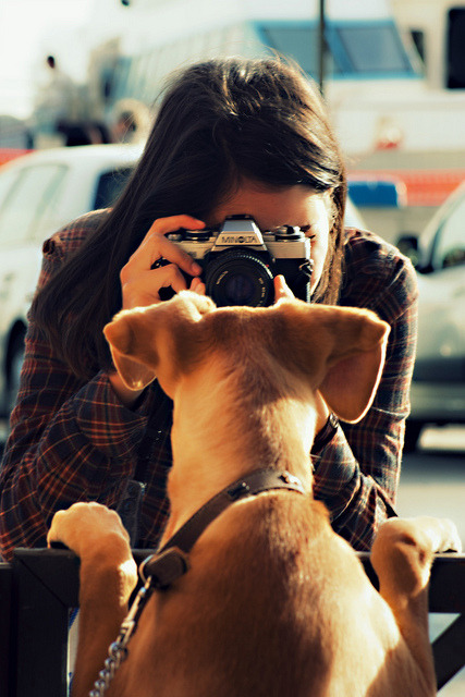 i-will-alwayys-love-youu-19:  ♡♡ Follow || Follow Back❀❀ http://i-will-alwayys-love-youu-19.tumblr.com/ ♡♡