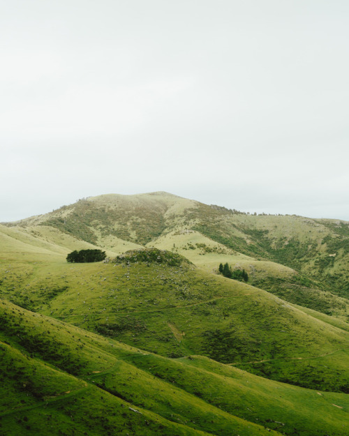 adventuresoncehad: Akaroa, just a bit outside of Christchurch, was one of the most surreal places I