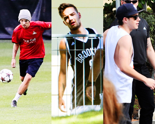hstuyles:  1D Throwback 2013  One Direction in Australia   