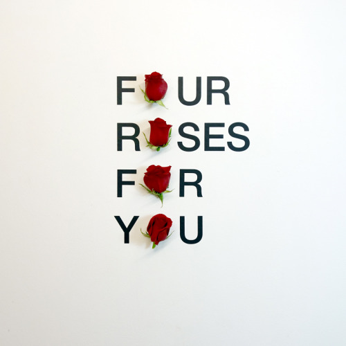 anatolknotek:»4 roses« by anatol knotek