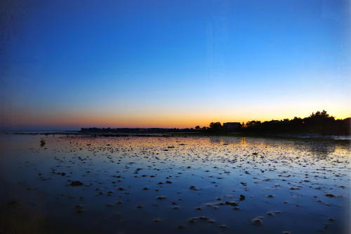  Plage de la Court (Noirmoutier) - Juillet 2020