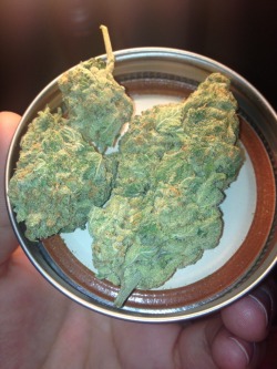 whudupaubrey:  Pair of Green Crack nugs…yum.