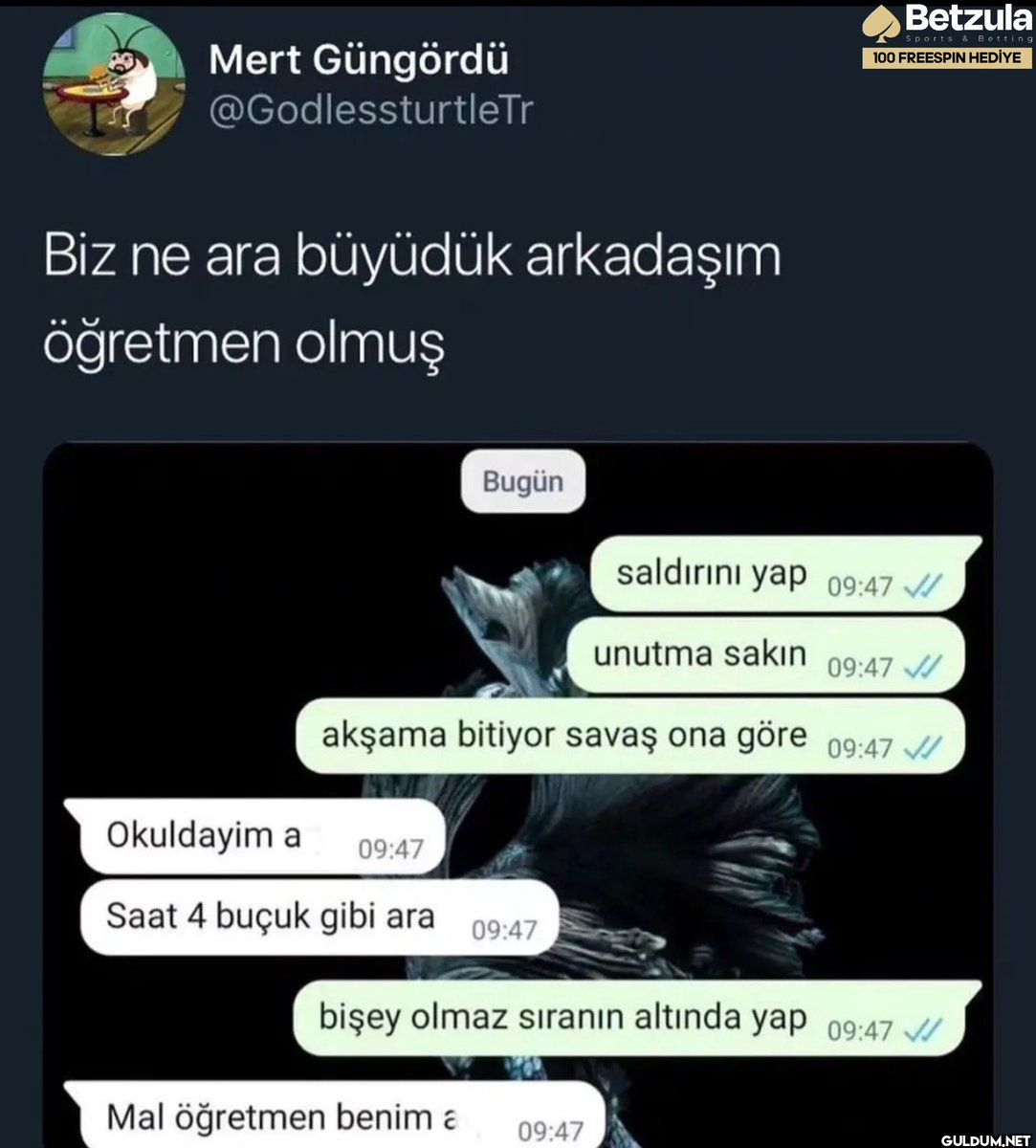 hajsjkdkdkkdkfkd  Mert...