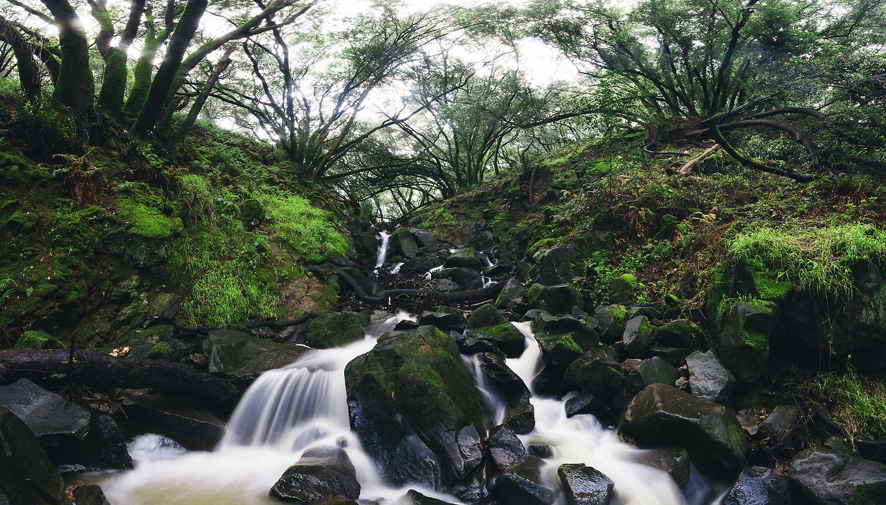 90377:  Waterfalls by Davor Desancic  