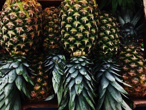 let-theoceandrain: you are nature 