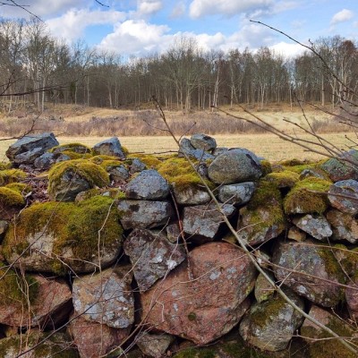 The old drystone walls abound. #mönsterås #drystone #walls (at Mönsterås)