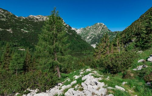 Krn Lake by happy.apple