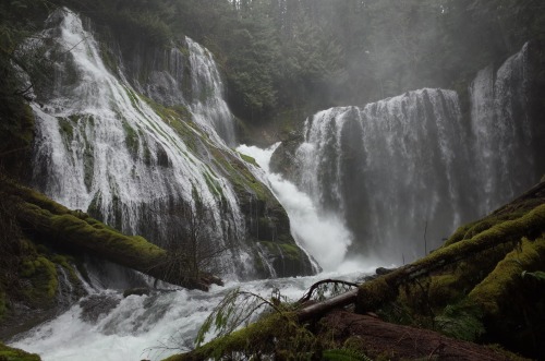 Panther Creek Falls, WA.