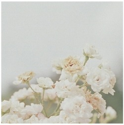laceandflora: Its March already? wow.&lt;input &hellip; _g on We Heart It. http://weheartit.com/entry/409304/via/annabec