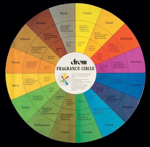nobrashfestivity:  Fragrance circle used by Drom, a global scent company founded in Germany in 1911.