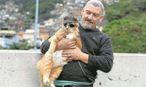 annapblack:  GUYS,  There’s a cat in a town nearby where I live in Brazil that likes to go on motorcycle rides with his owner.  He wears motorcycle goggles and everything. LOOK AT THIS LITTLE COOL DUDE:  The chillest dude you’ll ever see. 
