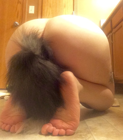 savingthrowvssexy:  ourlipsourbodies is such a pretty kitty. 