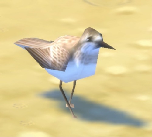 lowpolyanimals:Sandpiper from The Sims 4