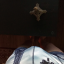 forced-perspectives