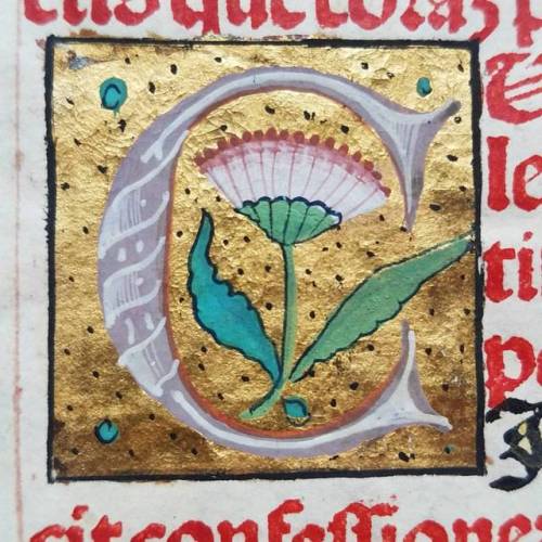 Detail of an hand illuminated letter ’D’, on a leaf of text printed in black and red, fr