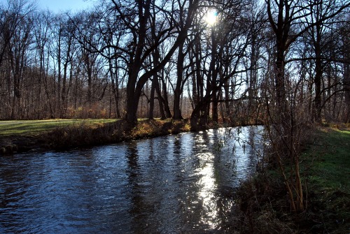 blutundrunstig:  Welcoming December at Englischer Garten  